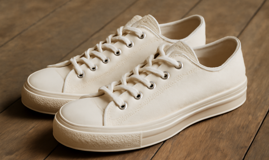 Pourquoi les sneakers Skagway de Visvim attirent les passionnés ?
